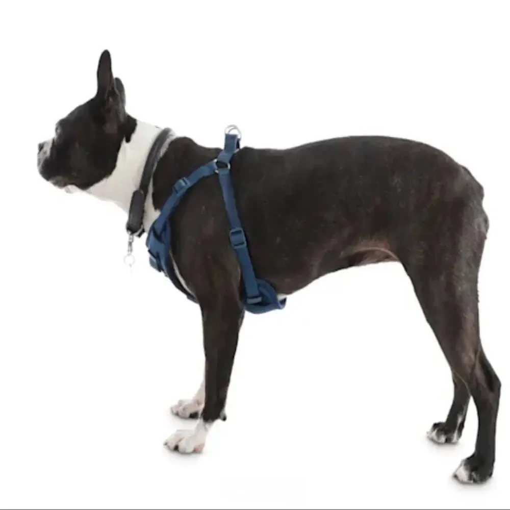 Good2Go Navy Padded Step-In Dog Harness